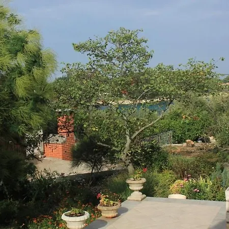 By The Sea - 8519 Appartement Ugljan